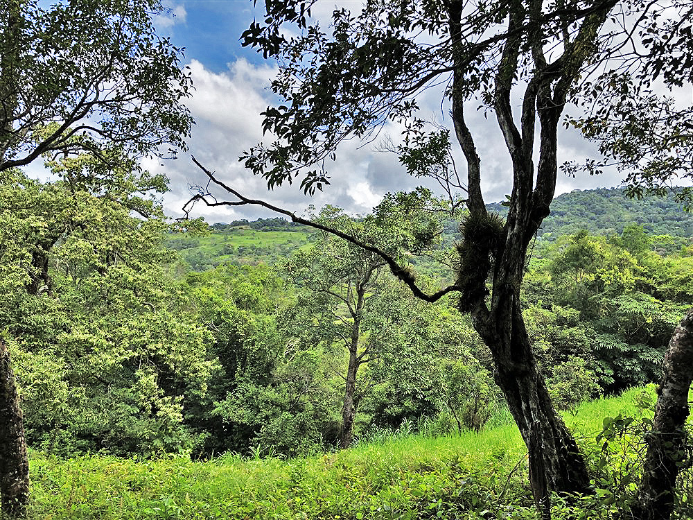 Price Reduction! Outstanding Building Site Lot in Jaramillo, Boquete Panama for Sale Next to Montana Verde Development and Luxury Homes – Over 5,300 Square Meters! photo 6