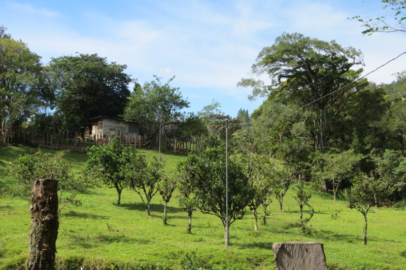7 acres of Beautiful Land For Sale Close to Lucero golf course in La Estrella, Jaramillo, Boquete, Chiriqui