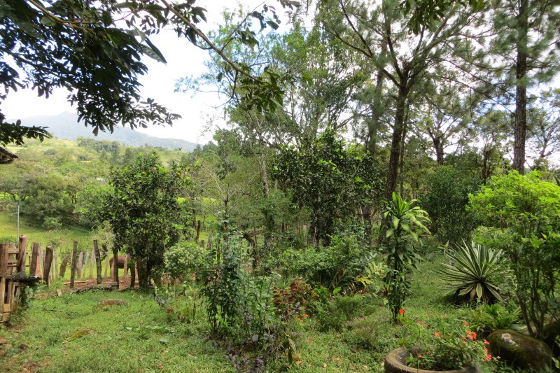 7 acres of Beautiful Land For Sale Close to Lucero golf course in La Estrella, Jaramillo, Boquete, Chiriqui photo 4