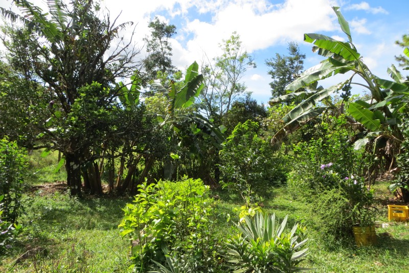 7 acres of Beautiful Land For Sale Close to Lucero golf course in La Estrella, Jaramillo, Boquete, Chiriqui photo 5
