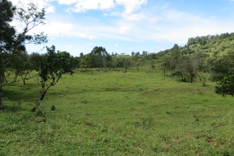 7 acres of Beautiful Land For Sale Close to Lucero golf course in La Estrella, Jaramillo, Boquete, Chiriqui photo 3