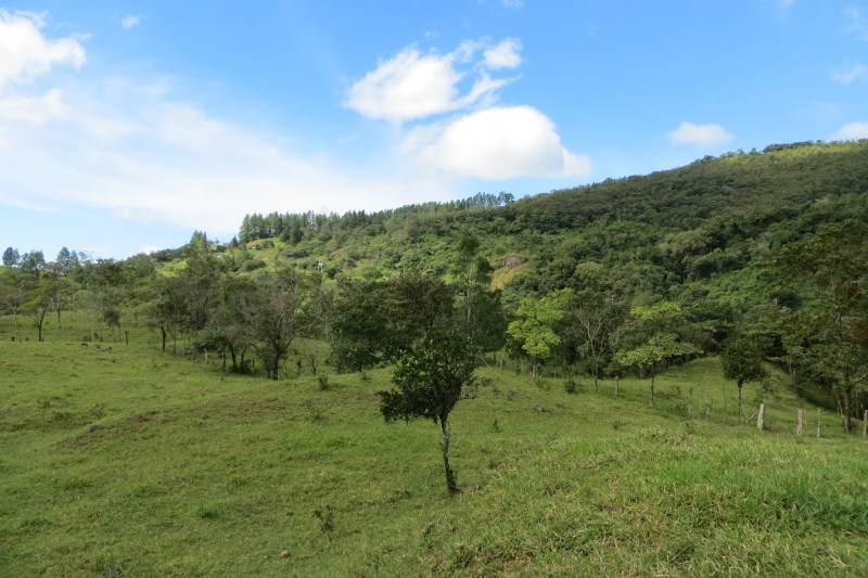 7 acres of Beautiful Land For Sale Close to Lucero golf course in La Estrella, Jaramillo, Boquete, Chiriqui photo 6
