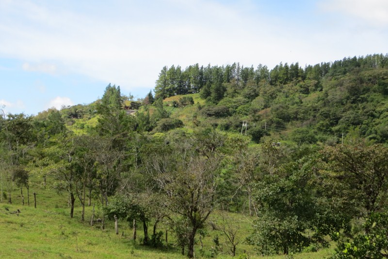 7 acres of Beautiful Land For Sale Close to Lucero golf course in La Estrella, Jaramillo, Boquete, Chiriqui photo 7
