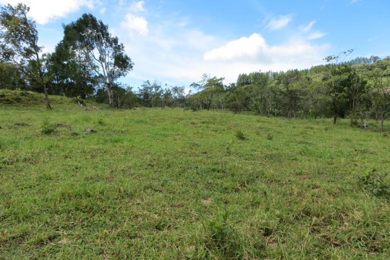7 acres of Beautiful Land For Sale Close to Lucero golf course in La Estrella, Jaramillo, Boquete, Chiriqui photo 8