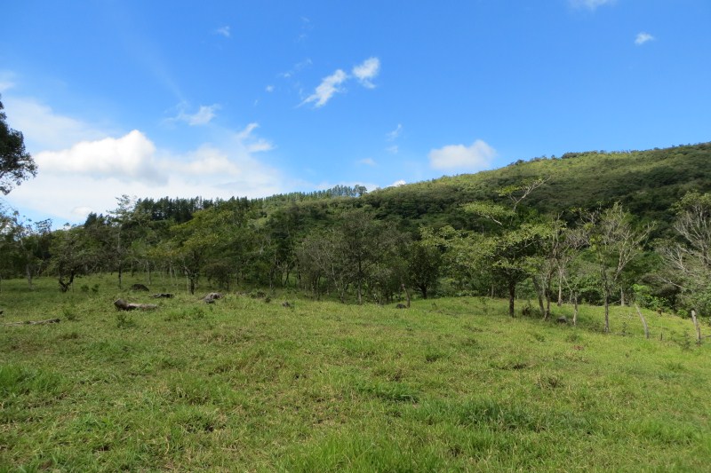 7 acres of Beautiful Land For Sale Close to Lucero golf course in La Estrella, Jaramillo, Boquete, Chiriqui photo 10