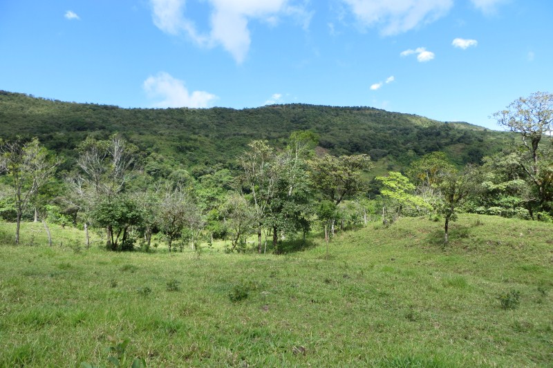 7 acres of Beautiful Land For Sale Close to Lucero golf course in La Estrella, Jaramillo, Boquete, Chiriqui photo 11