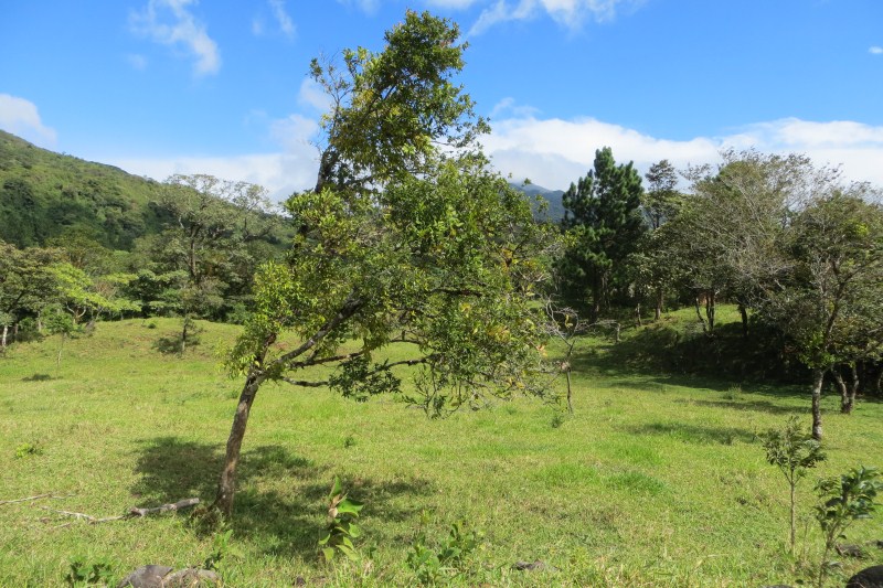 7 acres of Beautiful Land For Sale Close to Lucero golf course in La Estrella, Jaramillo, Boquete, Chiriqui photo 2
