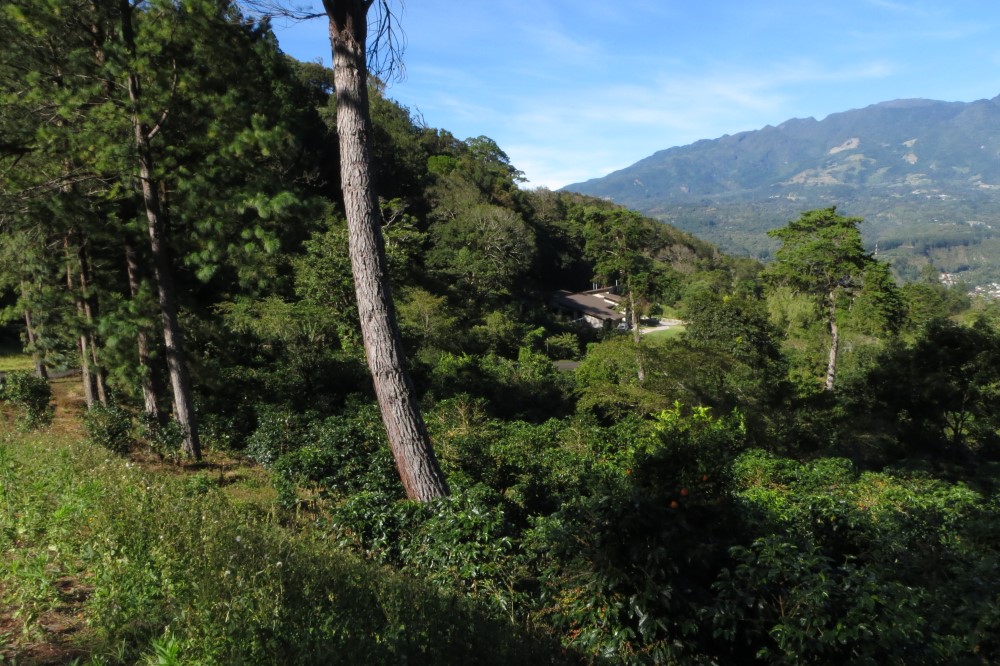 Sold by Casa Solution - Las Terrazas Gated Community Large Lot for Sale in Jaramillo, Boquete photo 7