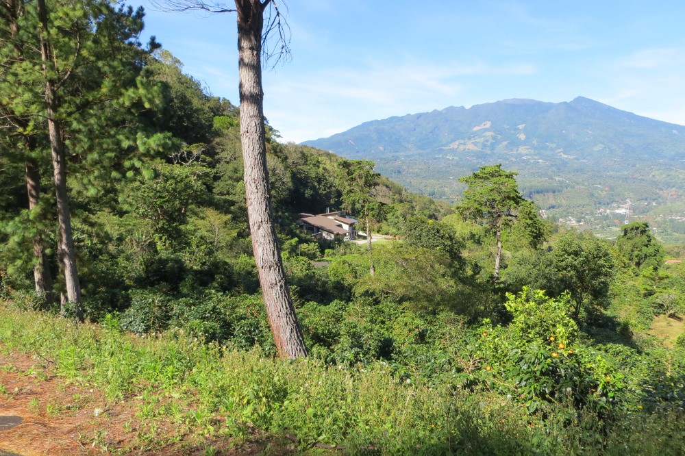 Sold by Casa Solution - Las Terrazas Gated Community Large Lot for Sale in Jaramillo, Boquete photo 5