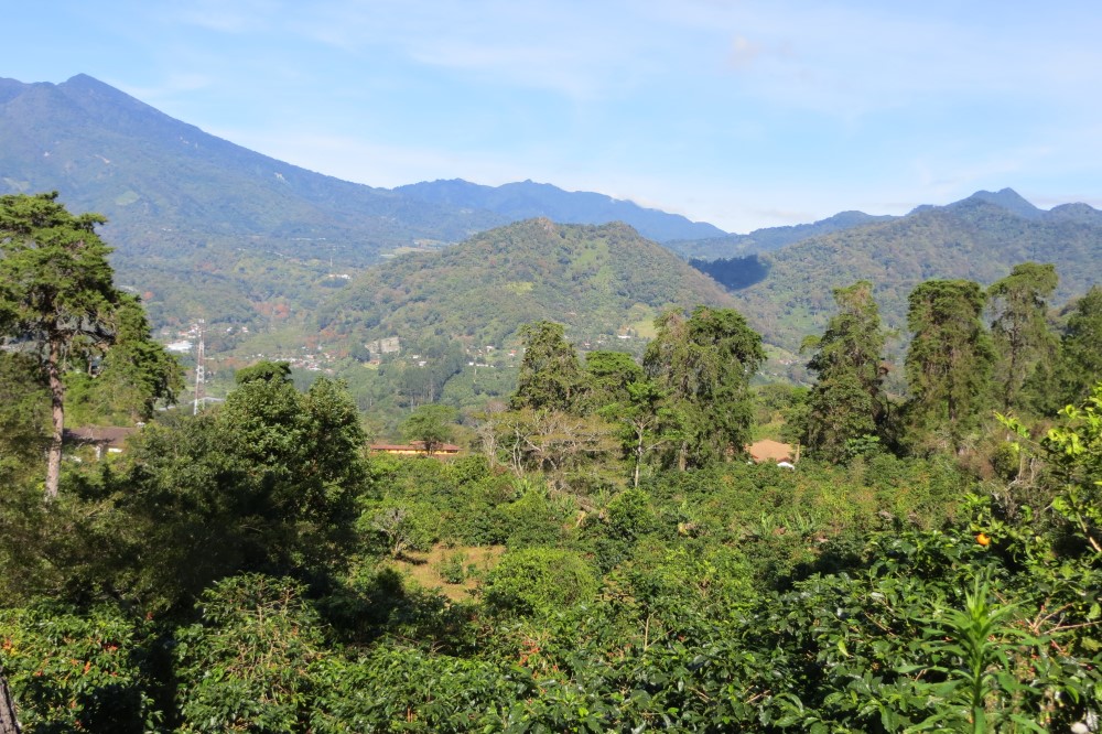 Sold by Casa Solution - Las Terrazas Gated Community Large Lot for Sale in Jaramillo, Boquete photo 4