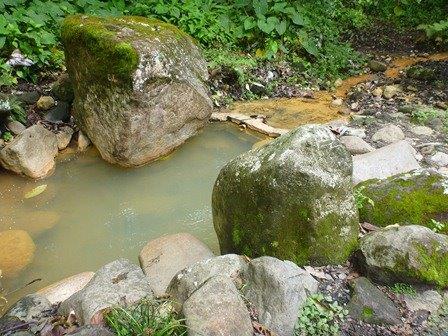 sold Giant Coffee and Versatile Farm in Volcan  – 1.78 million square meters – Finca Cafetalera en Volcan con Hermosas Vistas photo 9