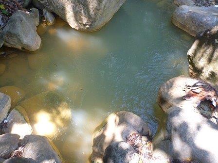 sold Giant Coffee and Versatile Farm in Volcan  – 1.78 million square meters – Finca Cafetalera en Volcan con Hermosas Vistas photo 7