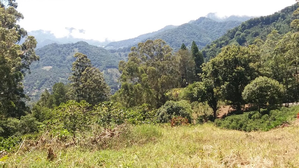 Magnificent View Lot in Las Terrazas Gated Community, Boquete, Panama – Lote con Magníficas Vistas en Las Terrazas, Boquete, Panamá. photo 6