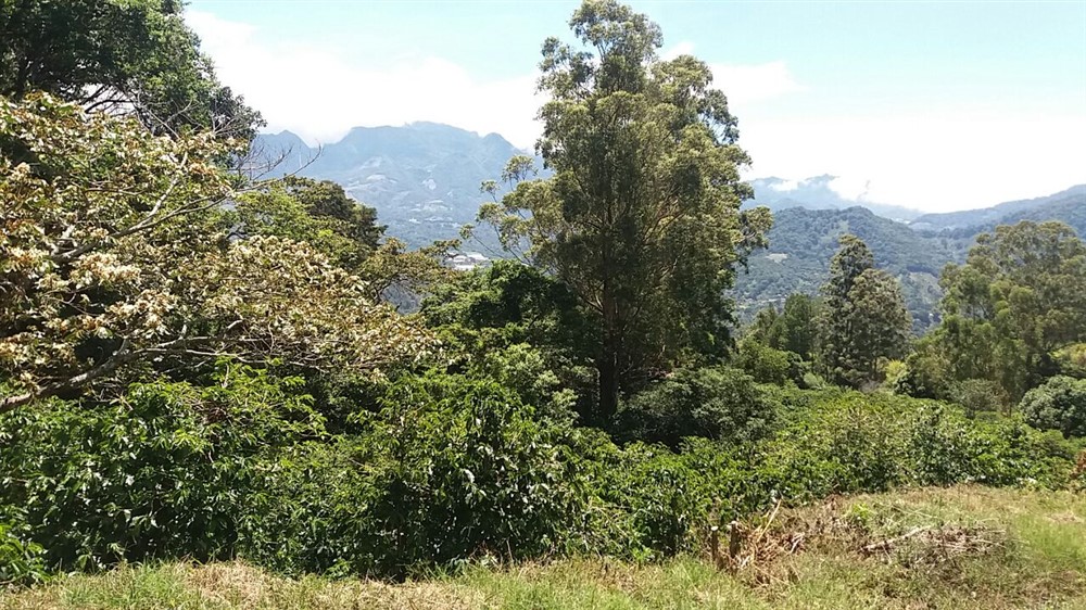 Magnificent View Lot in Las Terrazas Gated Community, Boquete, Panama – Lote con Magníficas Vistas en Las Terrazas, Boquete, Panamá. photo 8