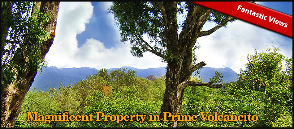 Magnificent Coffee Farm Property in Prime Volcancito, Boquete – Magnifica Finca de Café en Volcancito, Boquete
