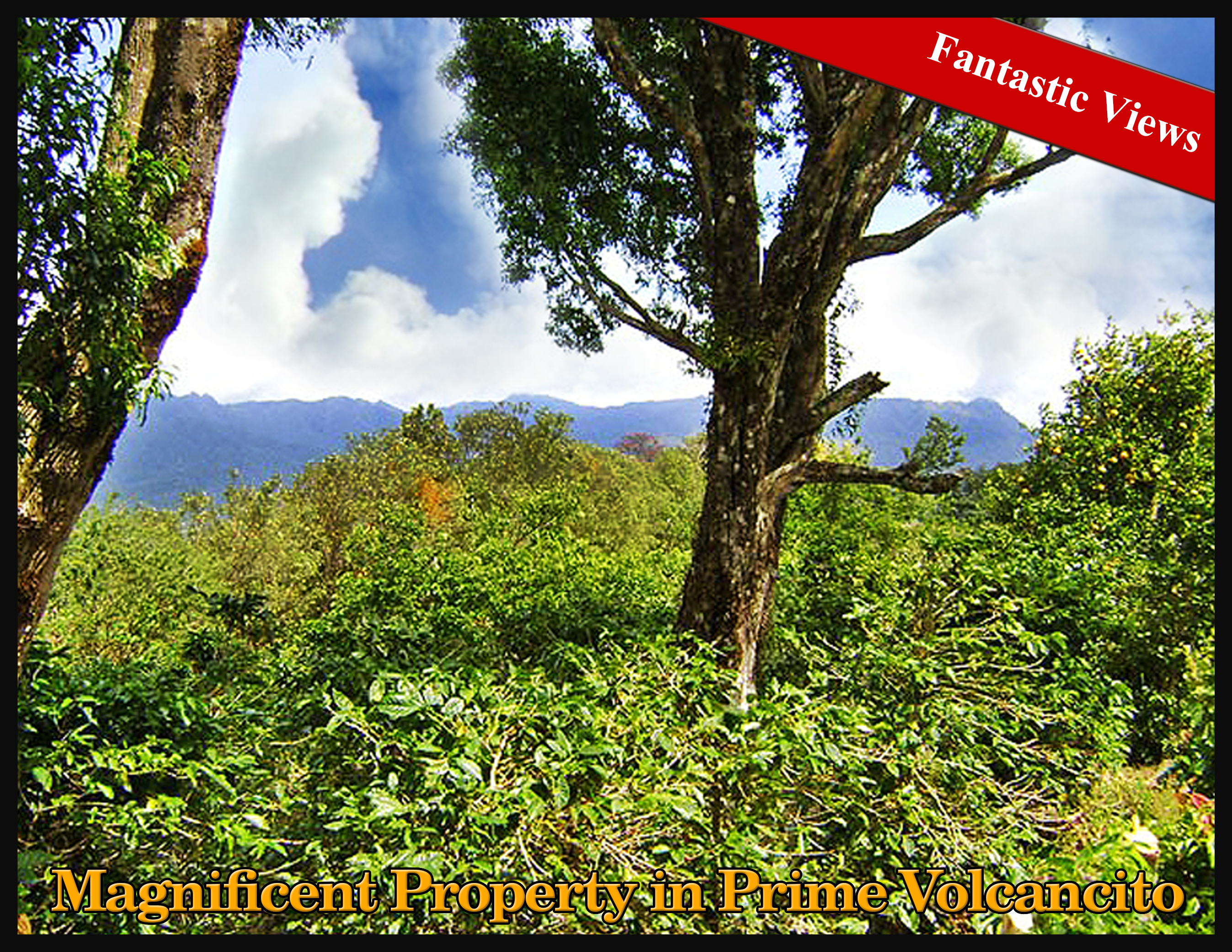 Magnificent Coffee Farm Property in Prime Volcancito, Boquete – Magnifica Finca de Café en Volcancito, Boquete photo 2