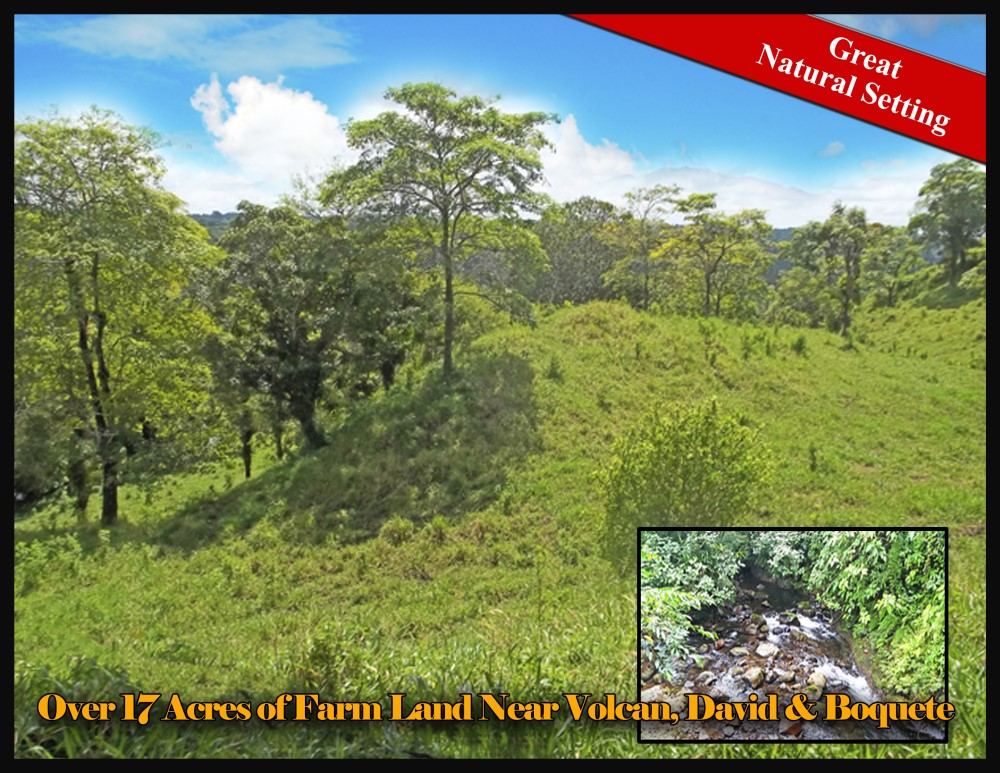 Over 17 Acres of Farm Land Near Volcan, David and Boquete Panama in Chiriqui Province For Sale - Water and Electricity - Agua y Electricidad photo 2