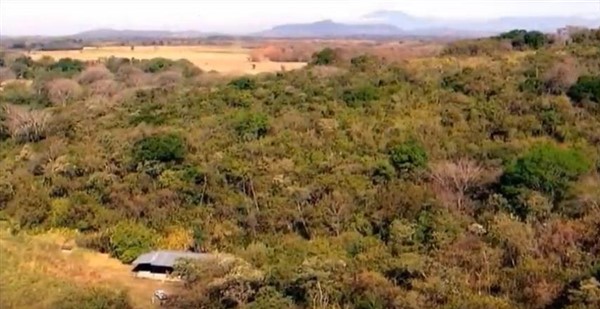 Withdrawn! Development Opportunity on Pan American Highway & Close to the Pacific Ocean Near Las Lajas Beach Areas in San Lorenzo, Panama photo 10