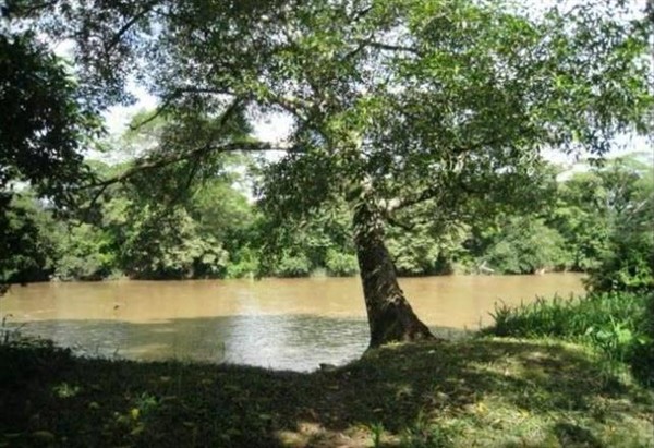 Withdrawn! Development Opportunity on Pan American Highway & Close to the Pacific Ocean Near Las Lajas Beach Areas in San Lorenzo, Panama photo 7