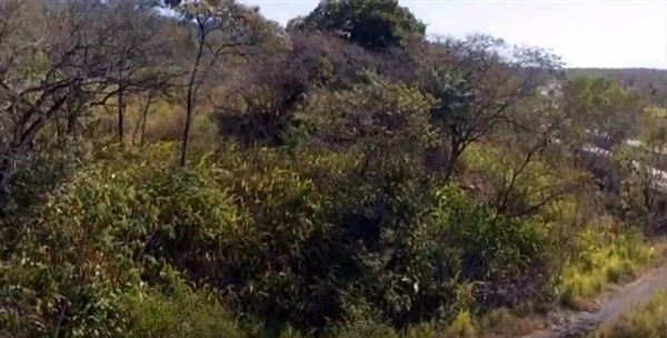 Withdrawn! Development Opportunity on Pan American Highway & Close to the Pacific Ocean Near Las Lajas Beach Areas in San Lorenzo, Panama photo 6