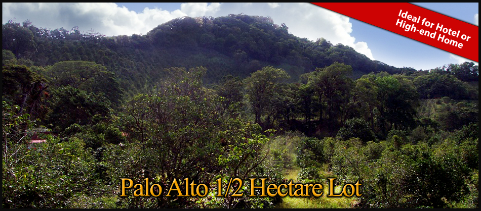 Boquete, Panama 1/2 hectare Hotel or High-end Home site in Exclusive Area Palo Alto – 1/2 Hectárea Ideal para Hotel o Casa de Lujo en el Área Exclusiva de Palo Alto, Boquete, Panamá