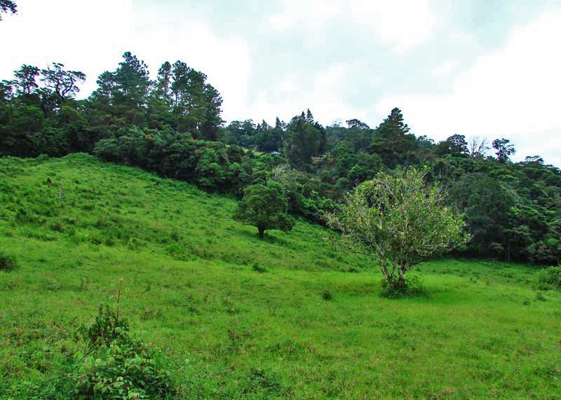 Great Volcan Baru View Lot of Over 1.8 Acres Near the Top of Jaramillo in Boquete, Panama photo 6