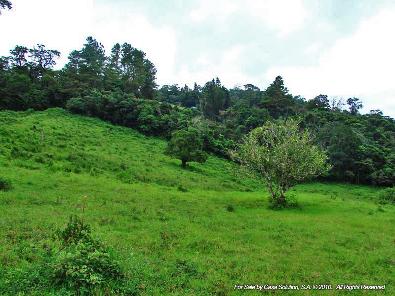 Great Volcan Baru View Lot of Over 1.8 Acres Near the Top of Jaramillo in Boquete, Panama photo 12