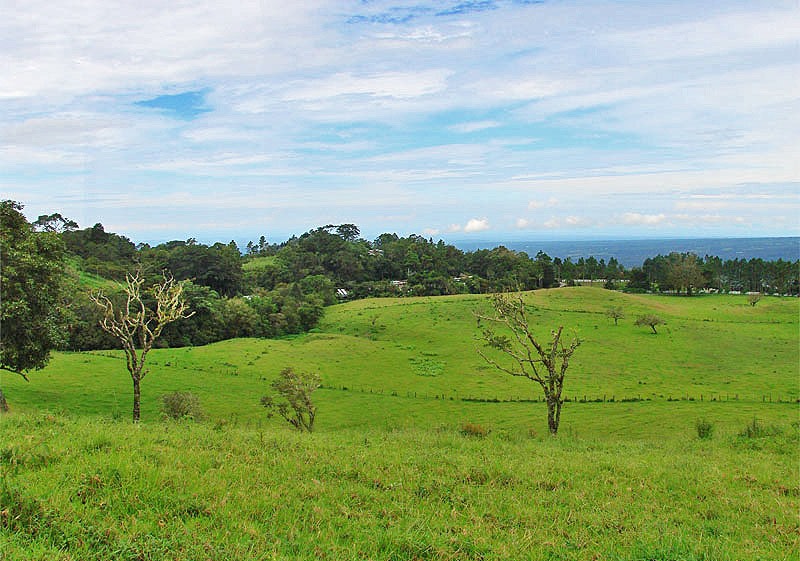 Great Volcan Baru View Lot of Over 1.8 Acres Near the Top of Jaramillo in Boquete, Panama photo 8