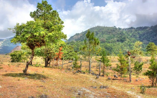 Sold - Big Volcan, Panama Development Property photo 5