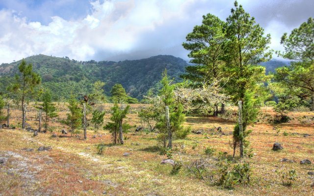 Sold - Big Volcan, Panama Development Property photo 6