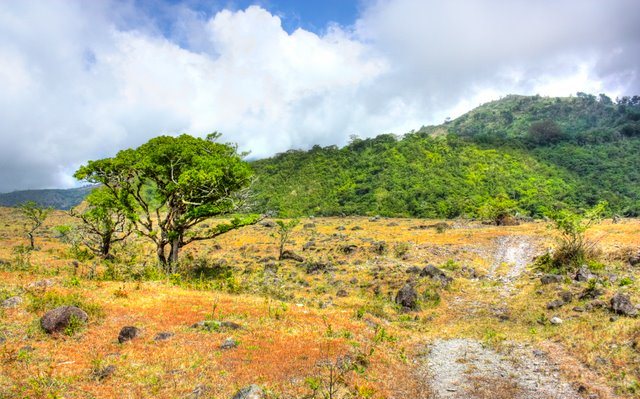Sold - Big Volcan, Panama Development Property photo 8
