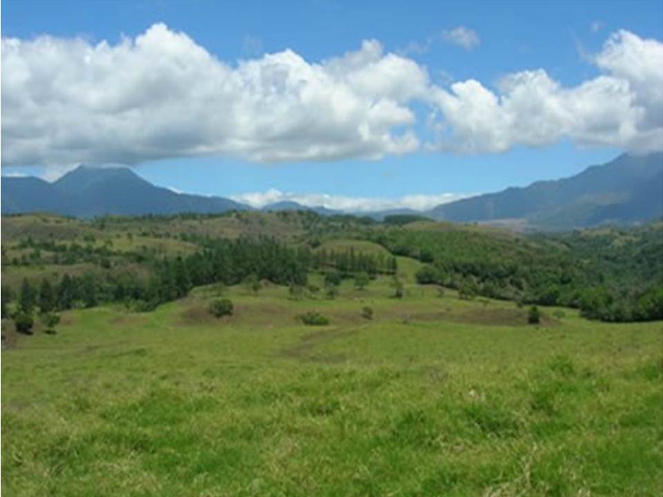 Price Reduction! 133 acres Master Plan Approved Development Property in Volcan