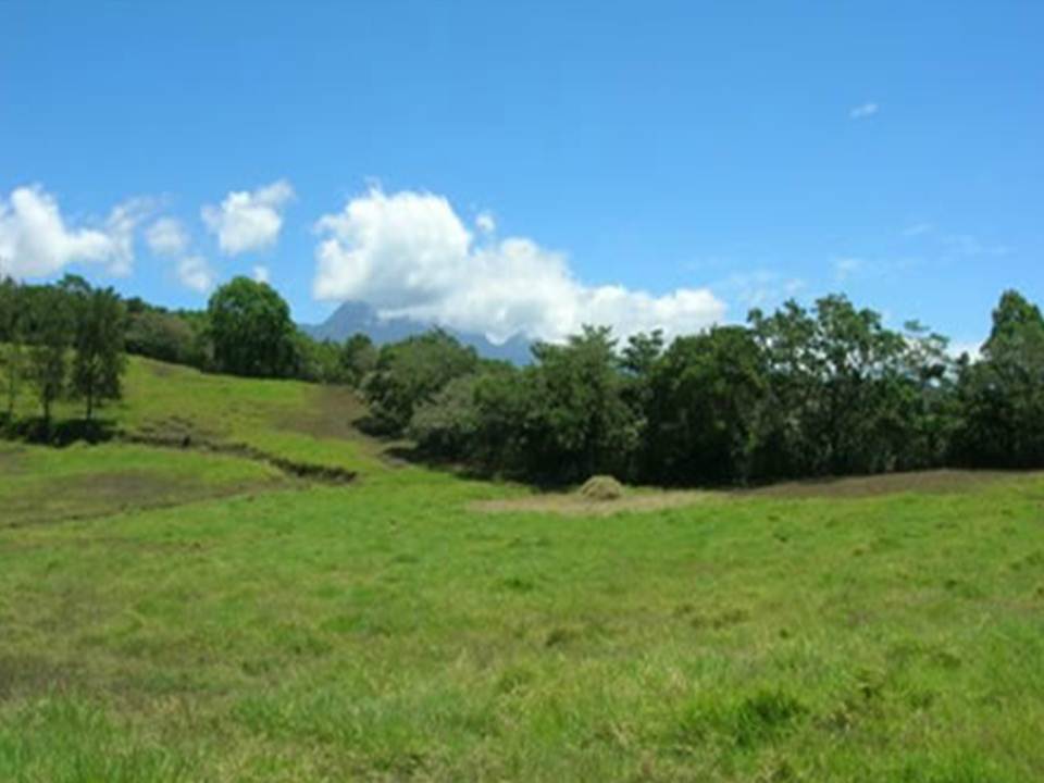 Price Reduction! 133 acres Master Plan Approved Development Property in Volcan photo 3