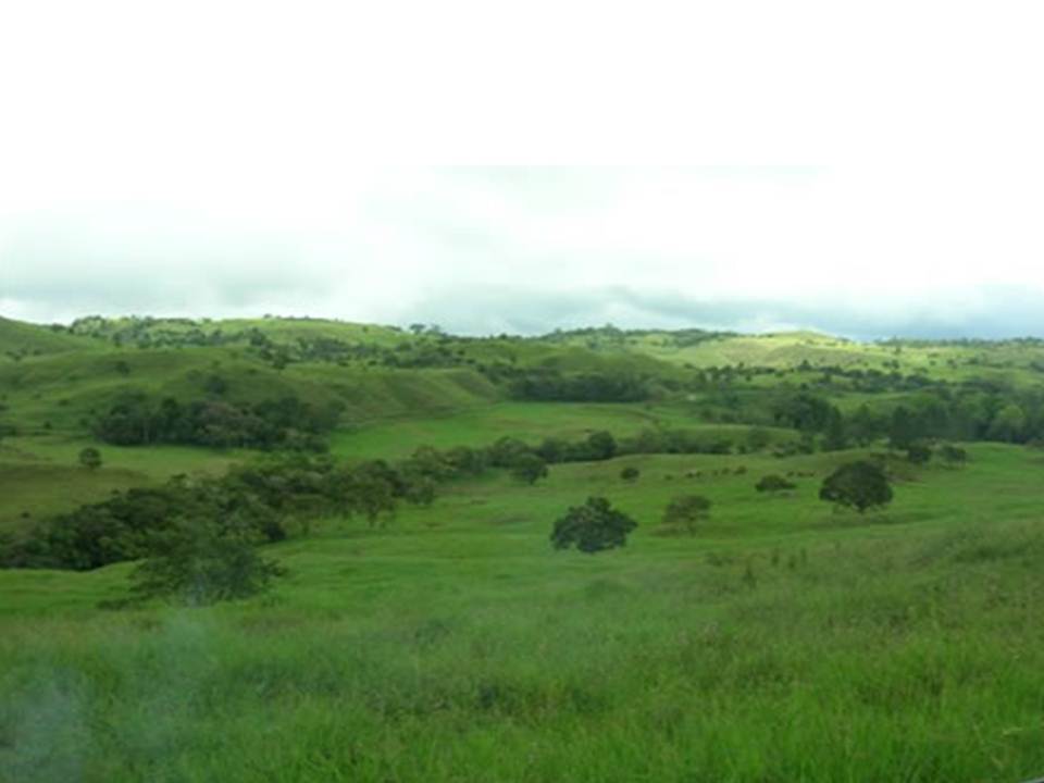 Price Reduction! 133 acres Master Plan Approved Development Property in Volcan photo 2
