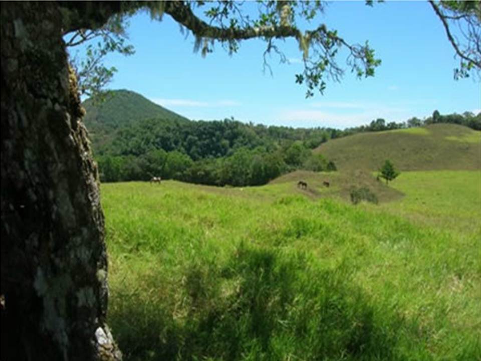 Price Reduction! 133 acres Master Plan Approved Development Property in Volcan photo 9
