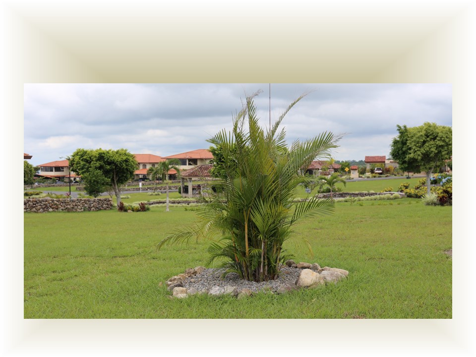 withdrawn – Hacienda Los Molinos Lot for Sale in Boquete, Panama photo 3