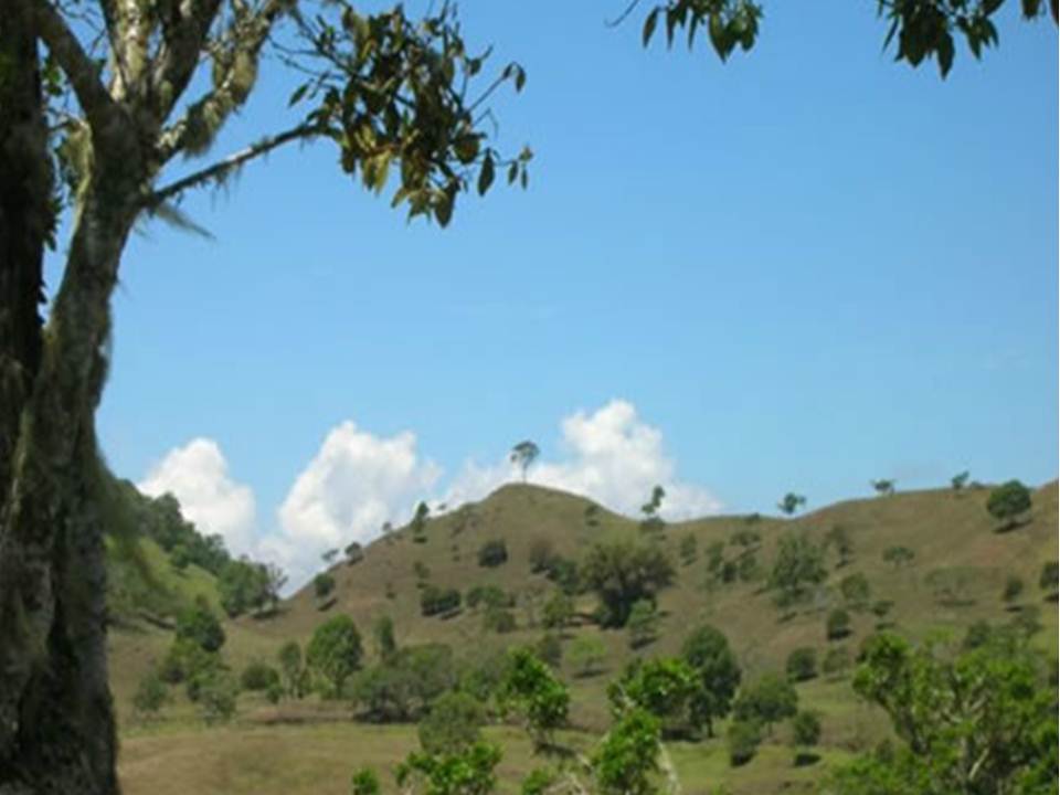 Price Reduction! 133 acres Master Plan Approved Development Property in Volcan photo 6