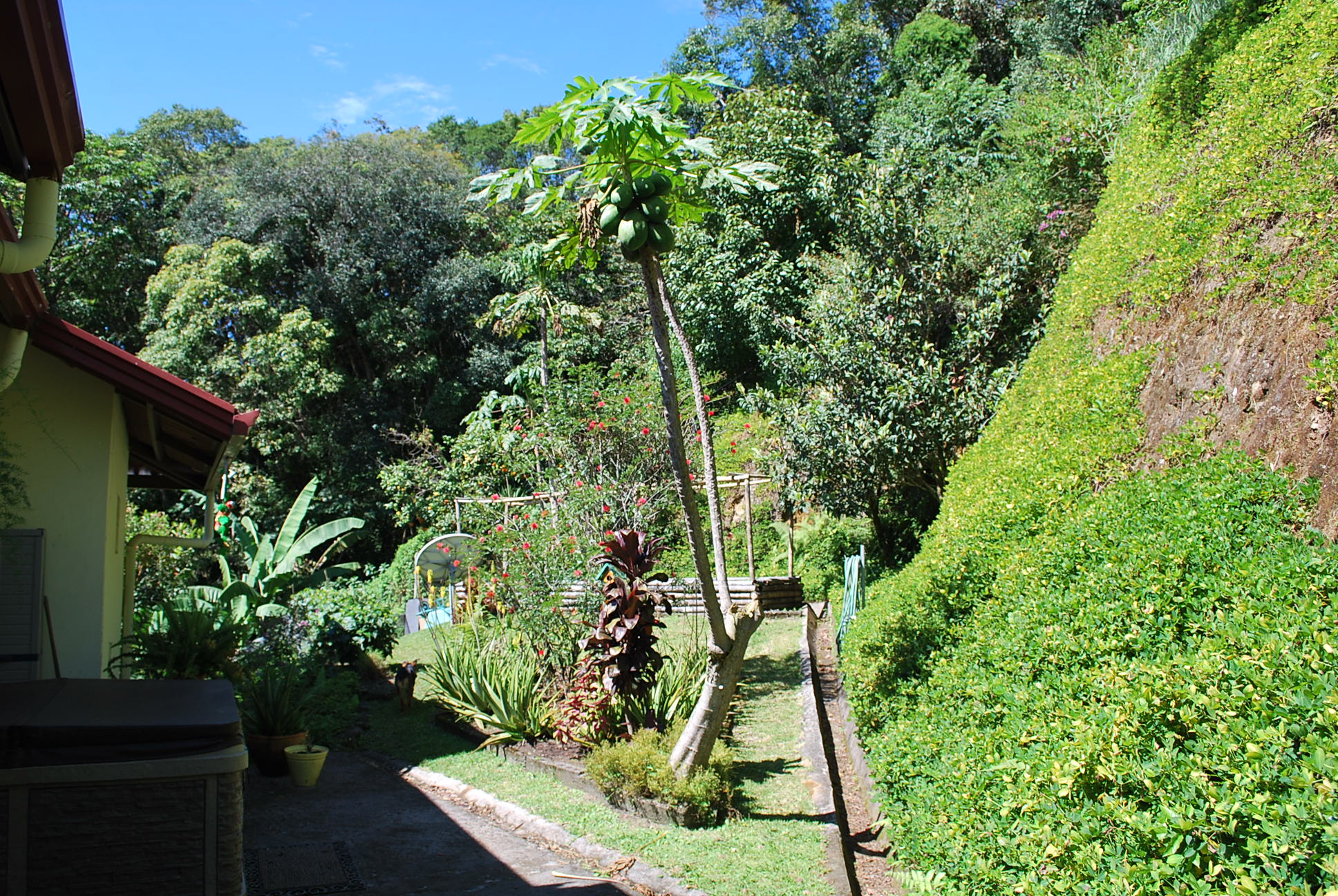 sold House on the Hill in Volcancito, Boquete for sale – Furnished Turnkey photo 9