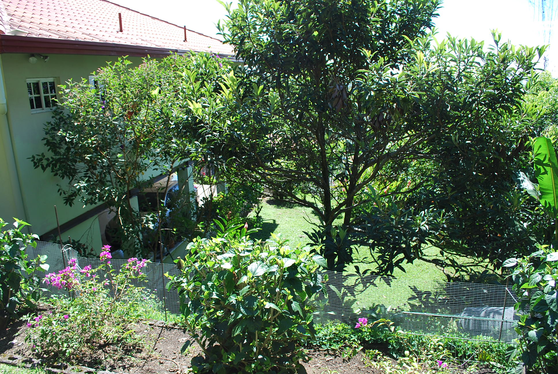 sold House on the Hill in Volcancito, Boquete for sale – Furnished Turnkey photo 11