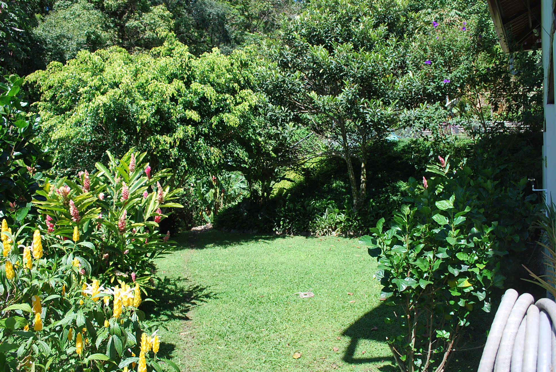 sold House on the Hill in Volcancito, Boquete for sale – Furnished Turnkey photo 12