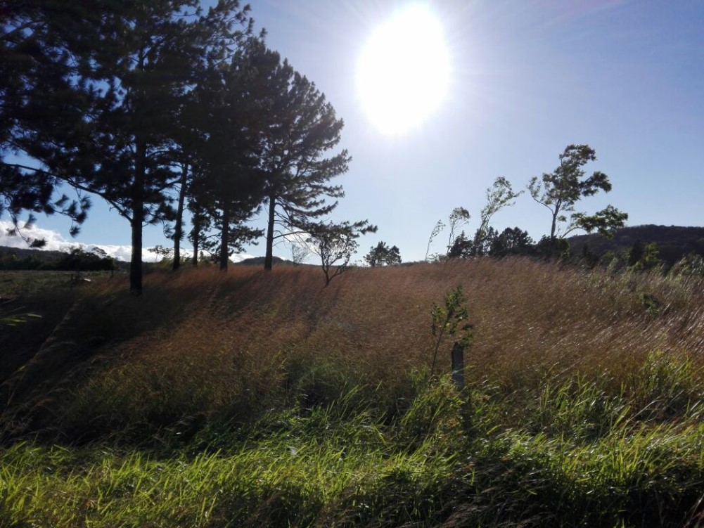 Off Market by Owner - Property For Sale on Four Lane Main Road Between David and Boquete Panama photo 5