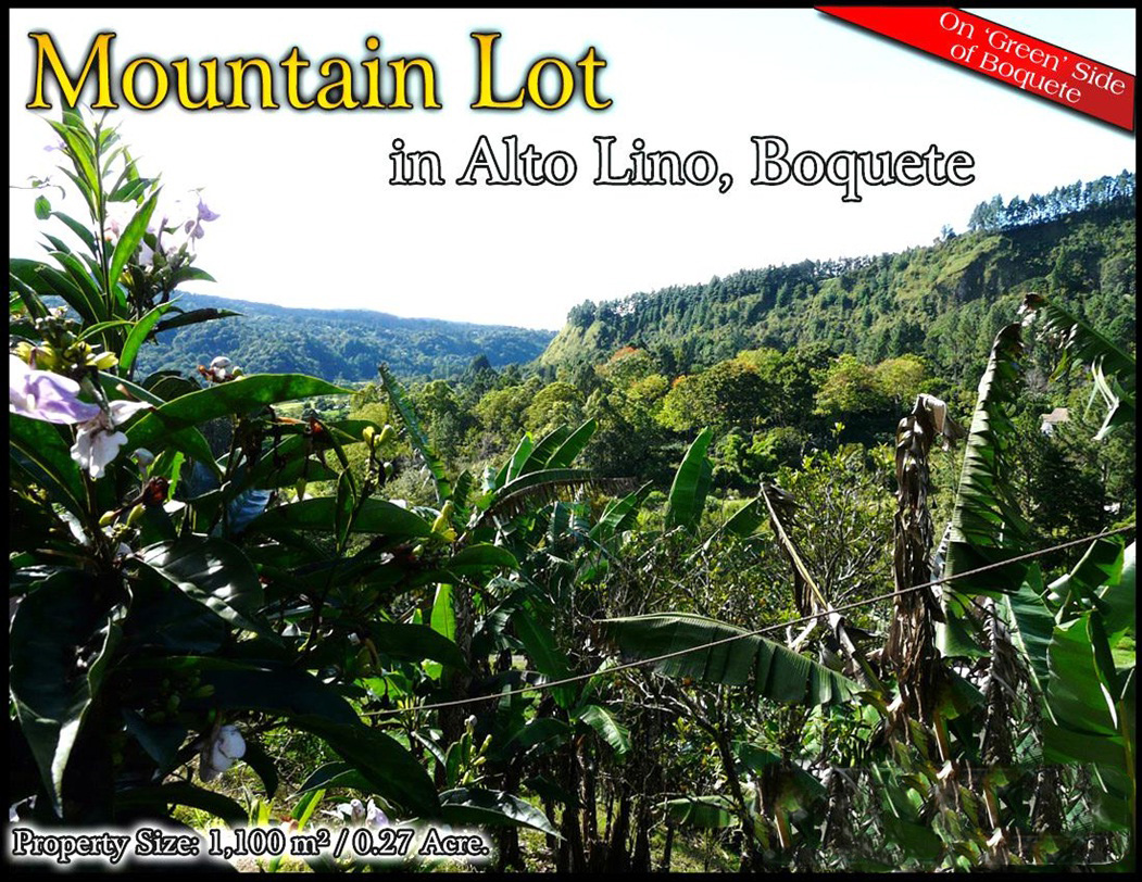 Back on the Market – Mountain Lot in Alto Lino, Boquete photo 2