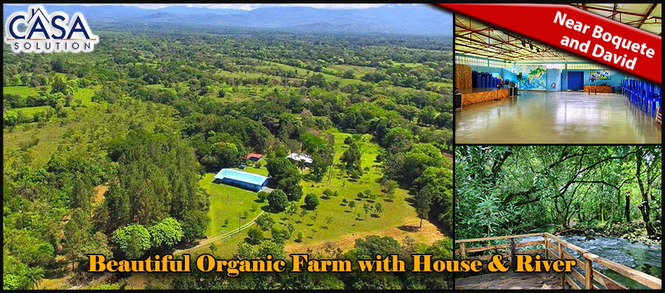 Withdrawn - sold by seller - Price Reduction! Very Beautiful 13 Plus Acre Organic Farm with House & River on Paved Road Near Boquete and David - Muy Hermosa Granja Orgánica de 13 Acres con Casa y Río en Carretera Pavimentada Cerca de Boquete y David