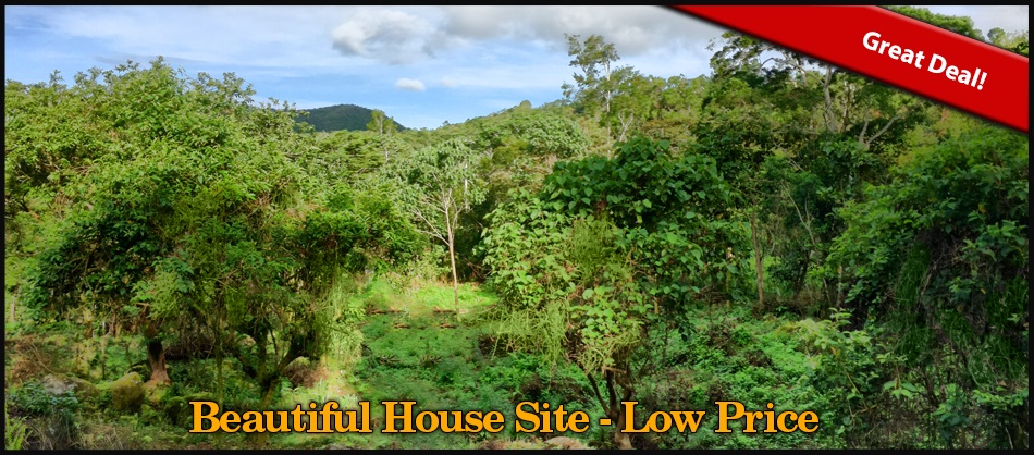 Great Deal!  Beautiful House Site Just 12 Minutes from Downtown Boquete