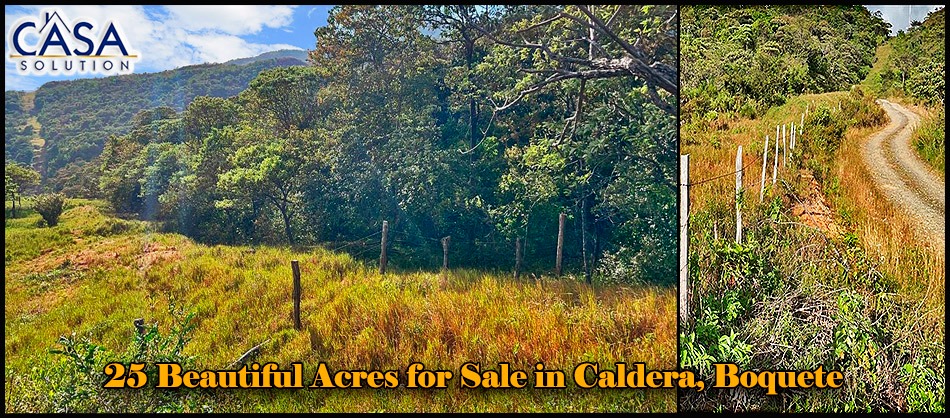 New Photos! 25 Beautiful Acres for Sale in El Cope, Caldera, Boquete, Panama