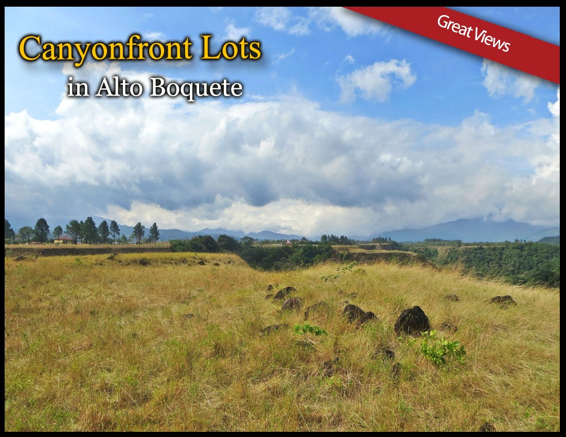 sold - Amazing View Lot in Alto Boquete - Price Reduction photo 2