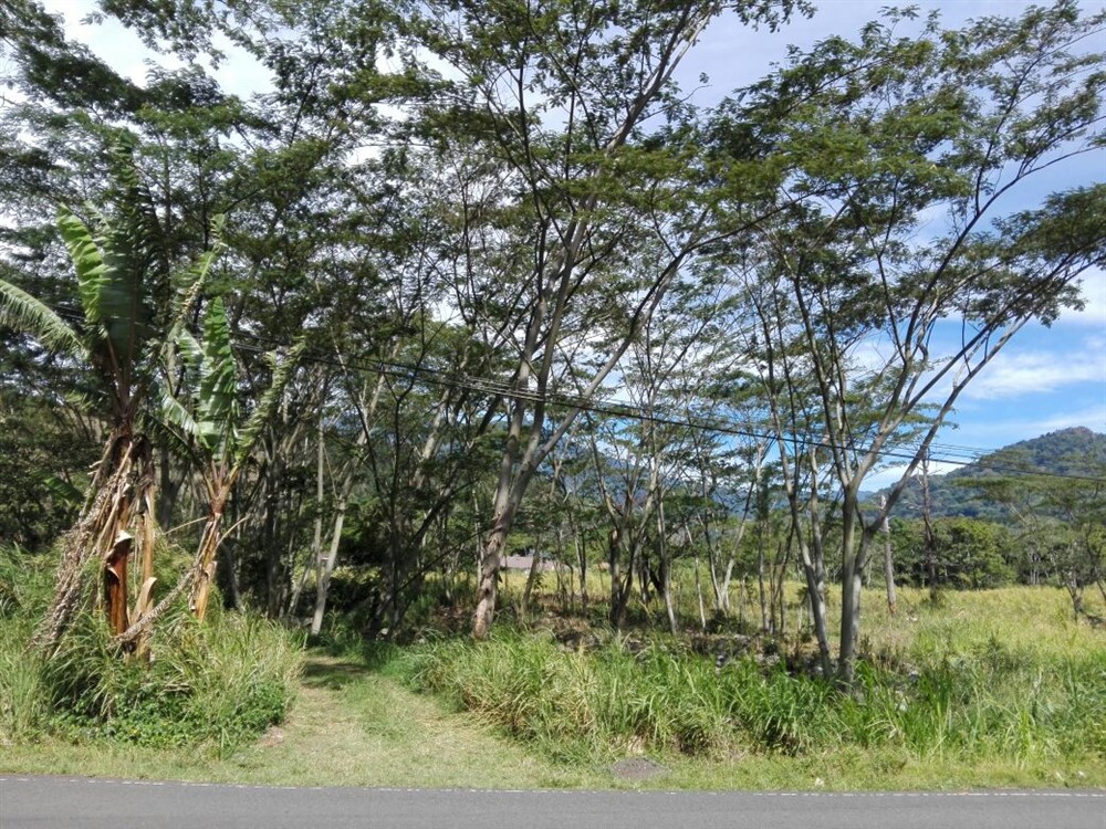 Sold by Owner - Riverfront Property Next to New Panamonte Bridge in Downtown Boquete - Propiedad Frente al Río en el Centro de Boquete photo 4