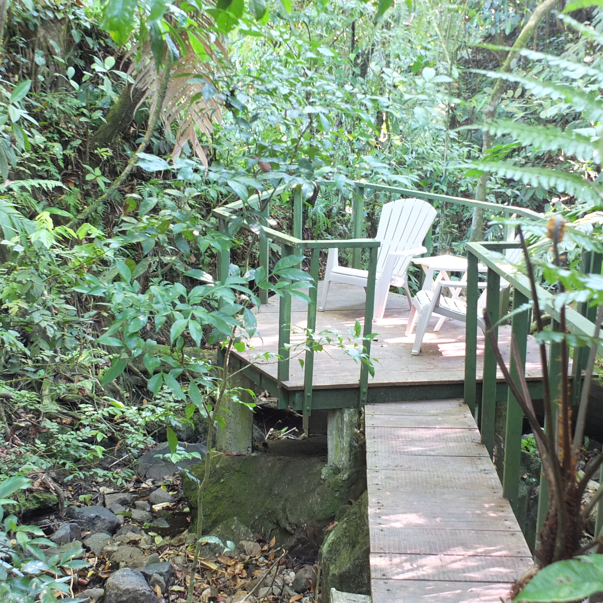 withdrawn - Beautiful Estate House with Easy Access to Boquete, David and Volcan - Hermosa casa con fácil acceso a Boquete, David y Volcan - Hermosa Casa con Fácil Acceso a Boquete, David y Volcán photo 6