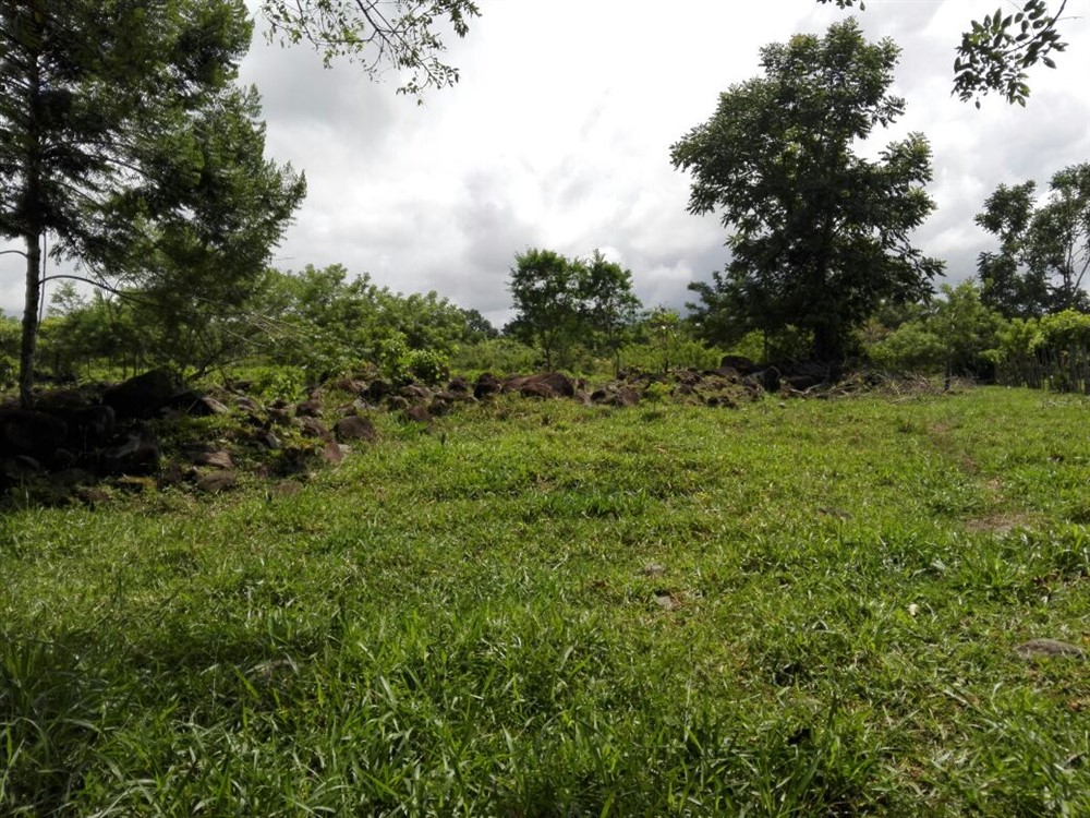 House & Guest House on 4 Hectares (10 Acres) For Sale Near David, Panama photo 4