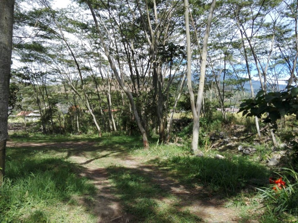 Sold by Owner - Riverfront Property Next to New Panamonte Bridge in Downtown Boquete - Propiedad Frente al Río en el Centro de Boquete photo 3